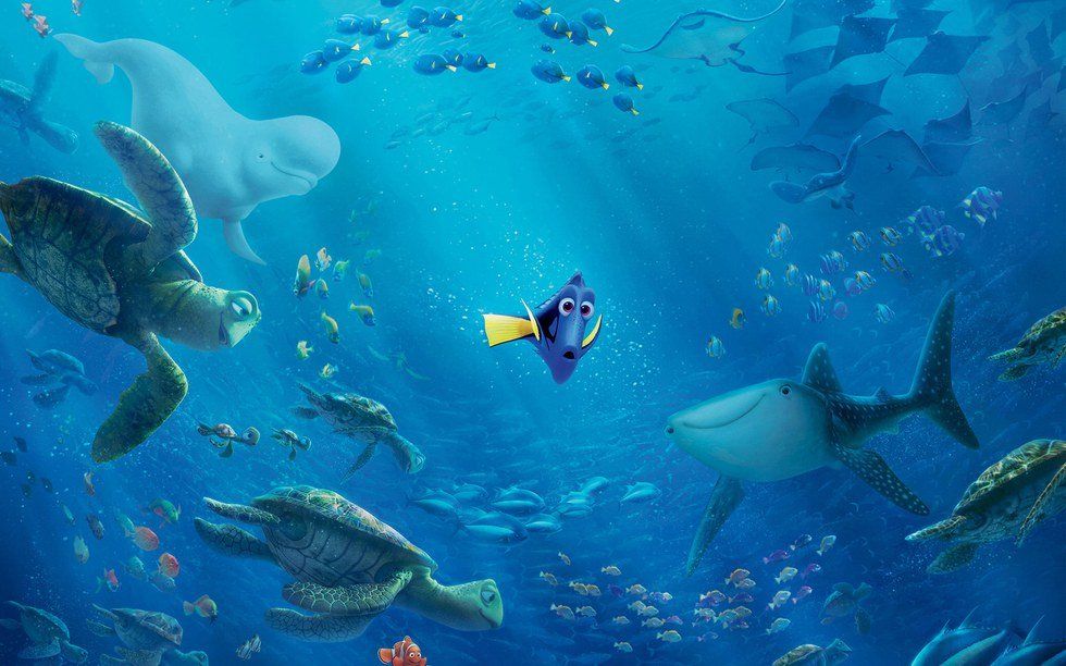 Finding Dory: Comfort To Parents Of Special Needs Children