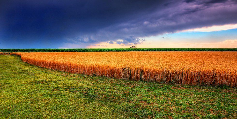 11 Reasons You Know You're From Kansas