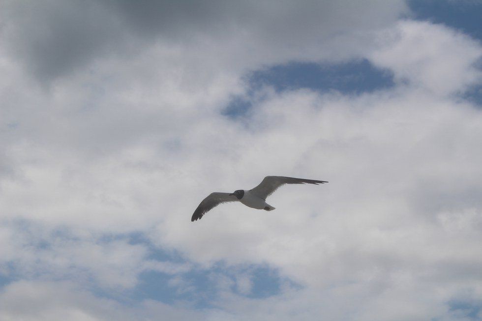 Beginnings In The Sky Above The Sea