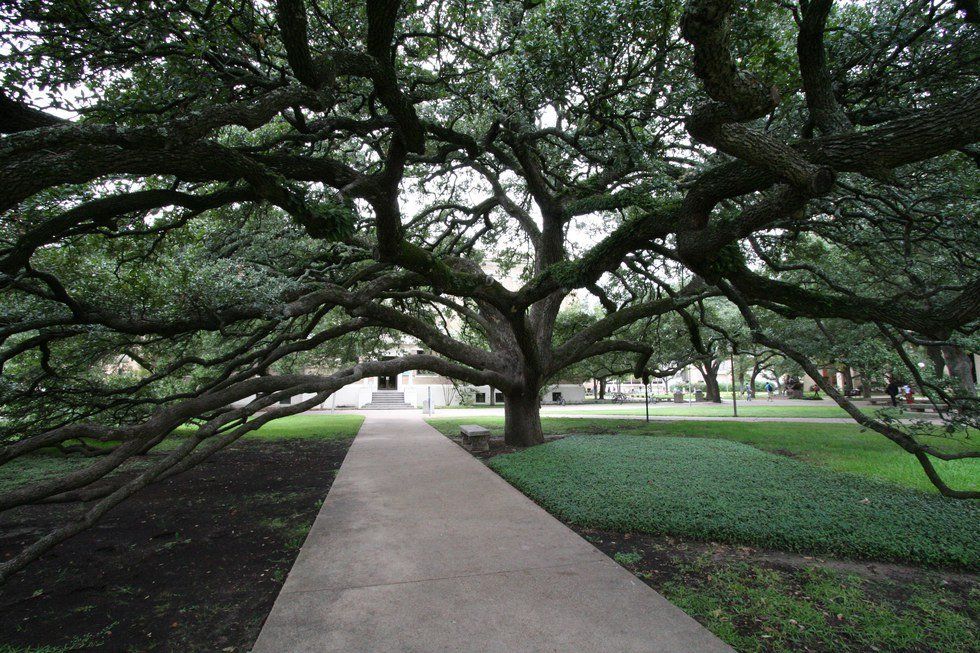 Best Places To Study On Texas A&M's Campus