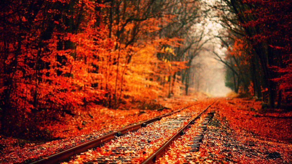 10 Reasons Why Fall Is The Best Season