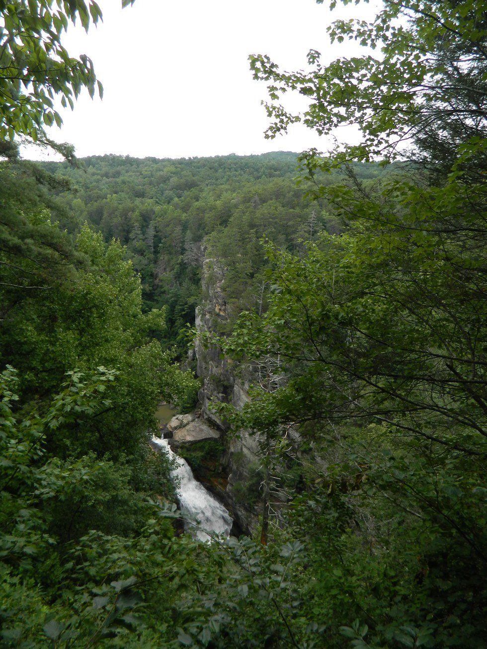 Gratitude at the Gorge