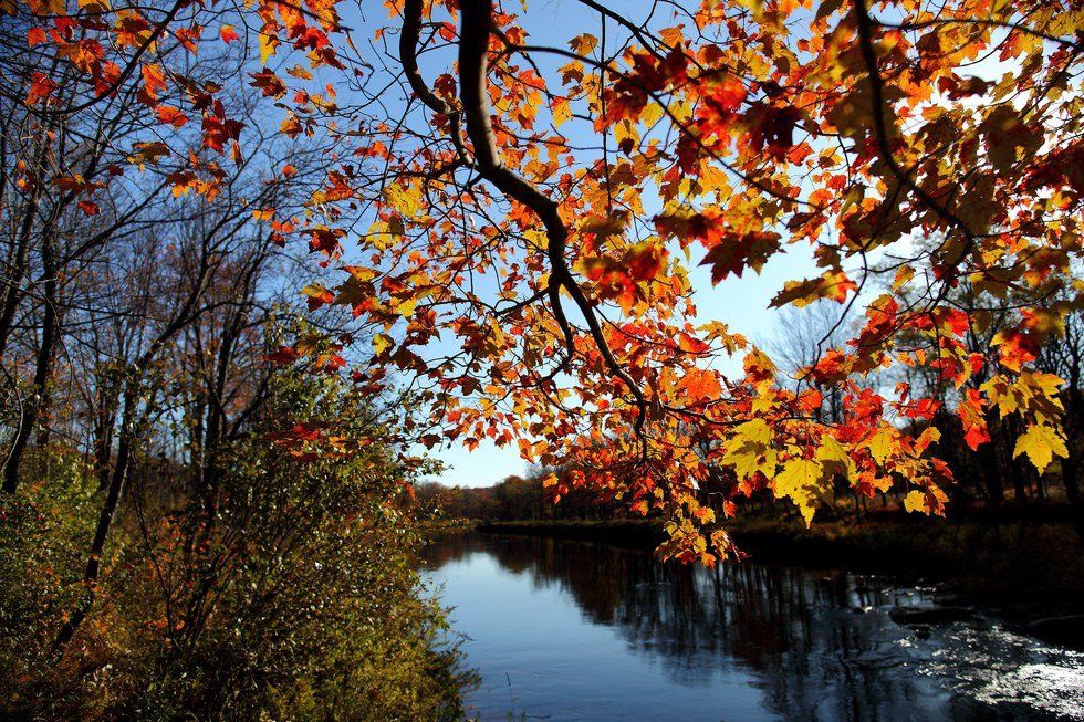 Goodbye Summer, Hello Fall!