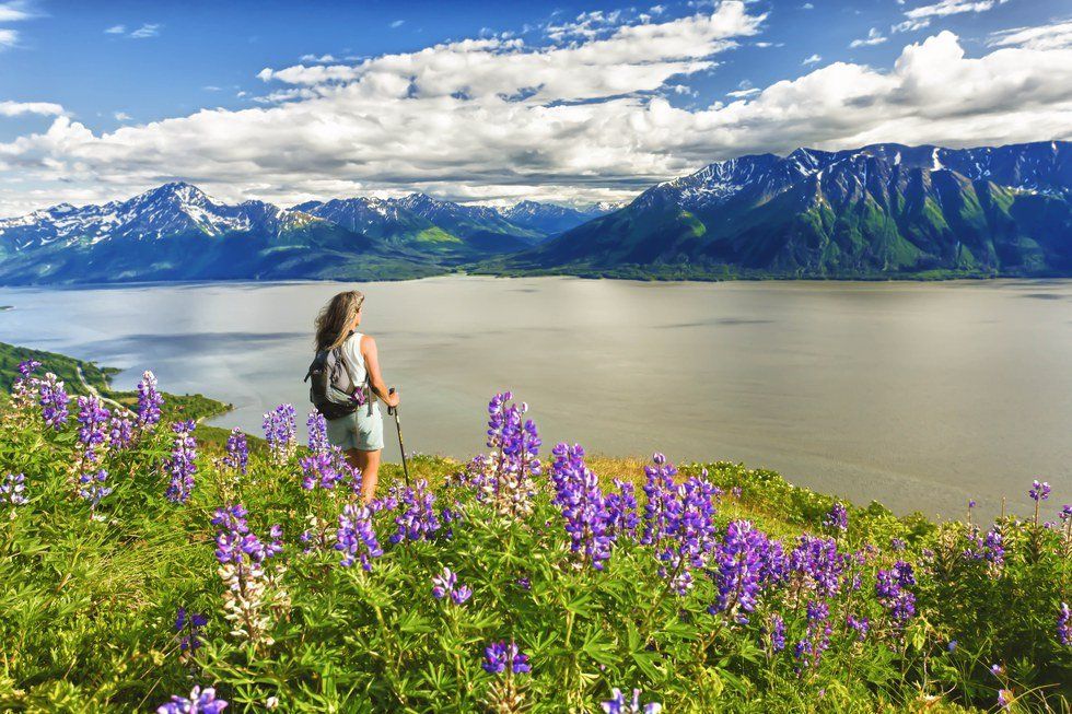 11 Things I Love About Living In Anchorage