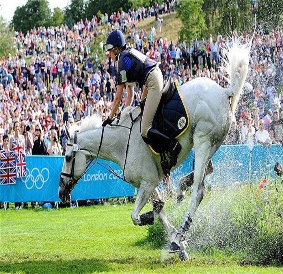 To The Man Who Said The Olympics Were For Humans