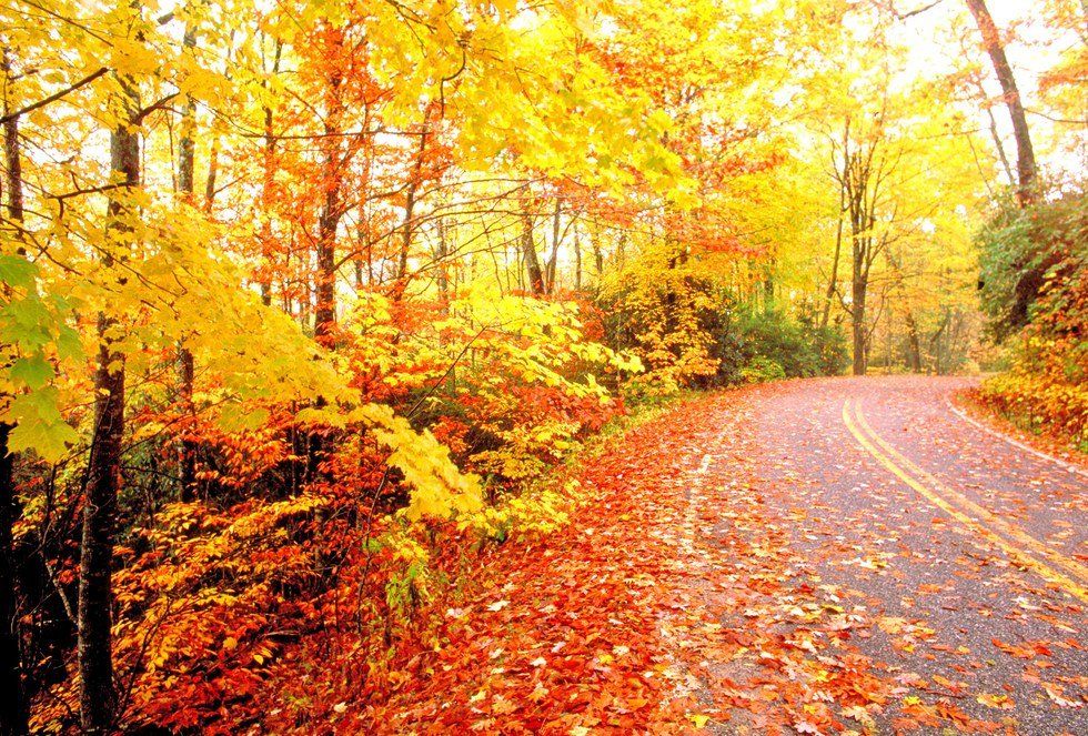 7 Signs You Are Ready For Fall