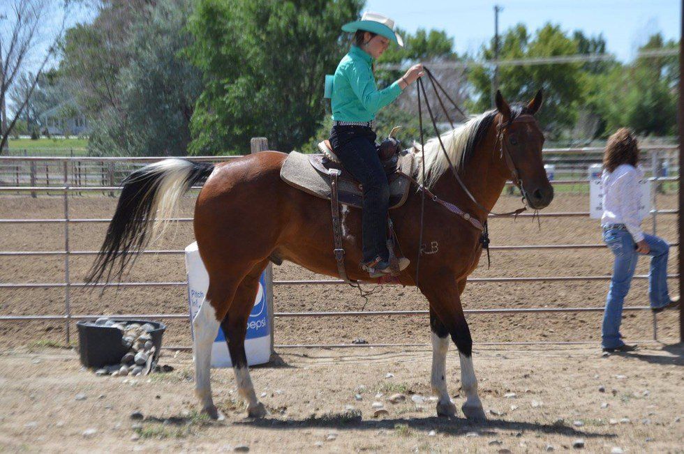 10 Things To Know About County Fair Week