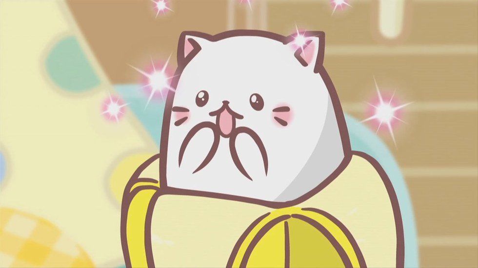 “Bananya” — The Kitty Banana Craze That's Sweeping the Nation