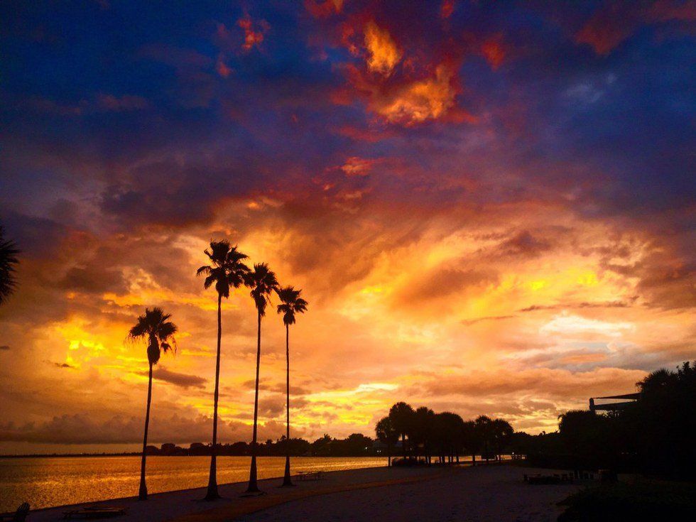 12 Reasons To Love Eckerd College