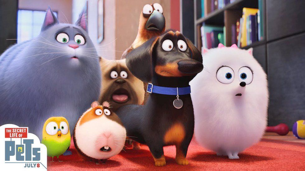 Secret Life Of Pets Review