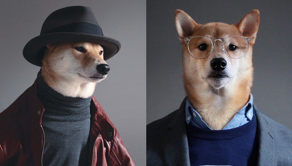 Everything You Need To Know About Menswear Dog