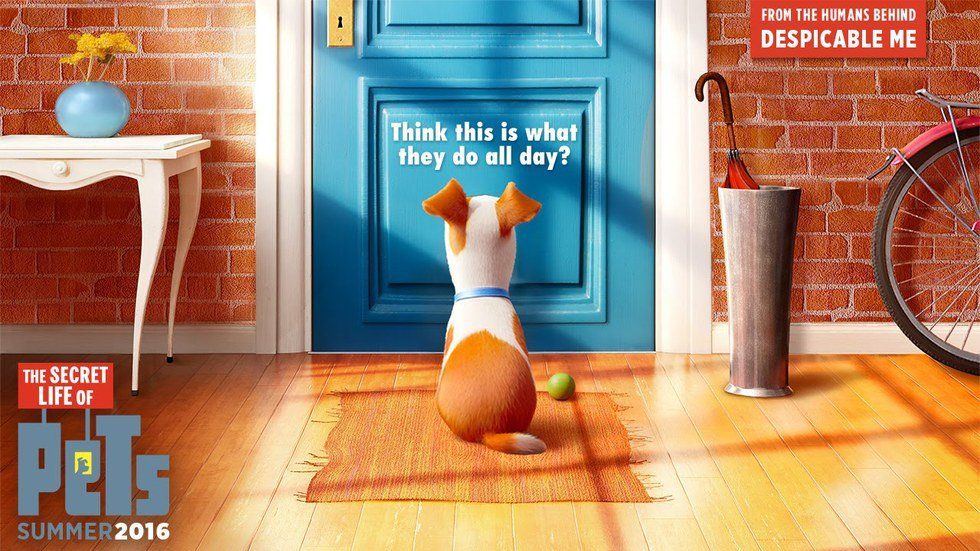 Being Home Alone As Told By 'The Secret Life of Pets'