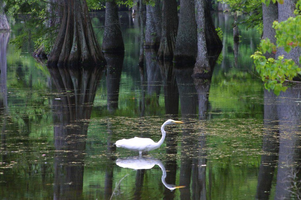 13 Things You Experienced Growing Up In The South