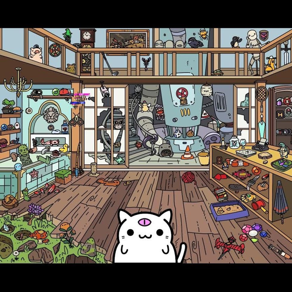 'KleptoCats': An App Made For Cat Lovers