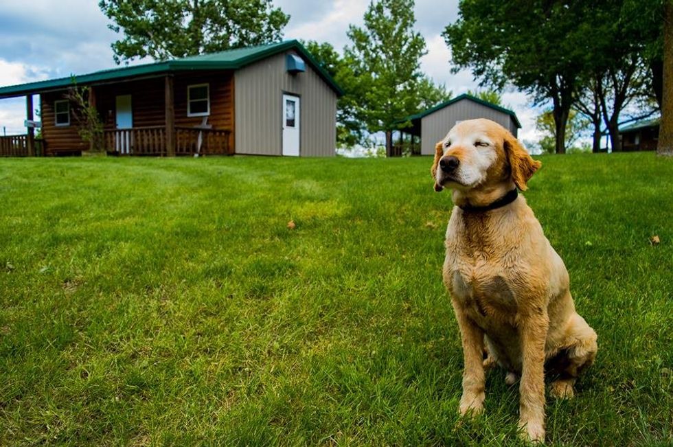 5 of the Greatest Meals at Camp Shetek