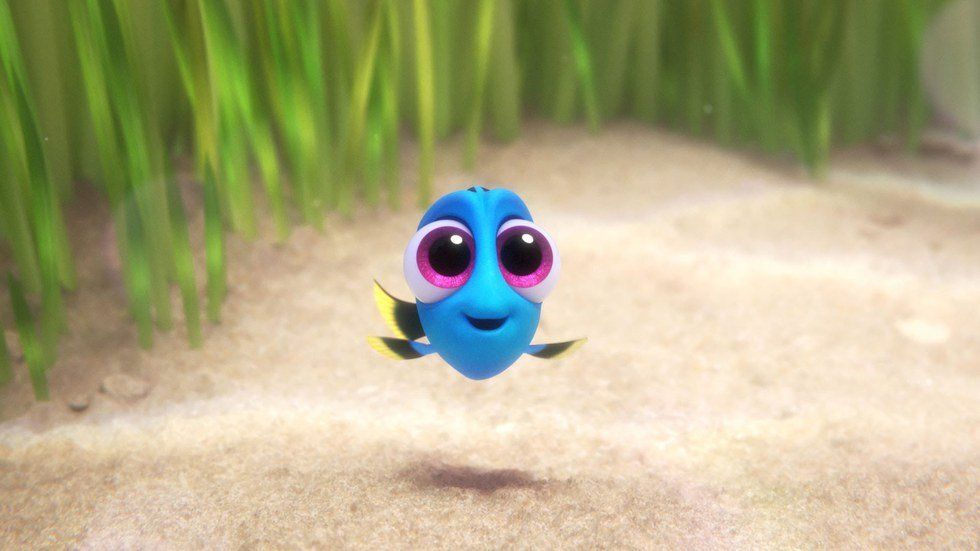 11 Thoughts I Had While Watching Finding Dory