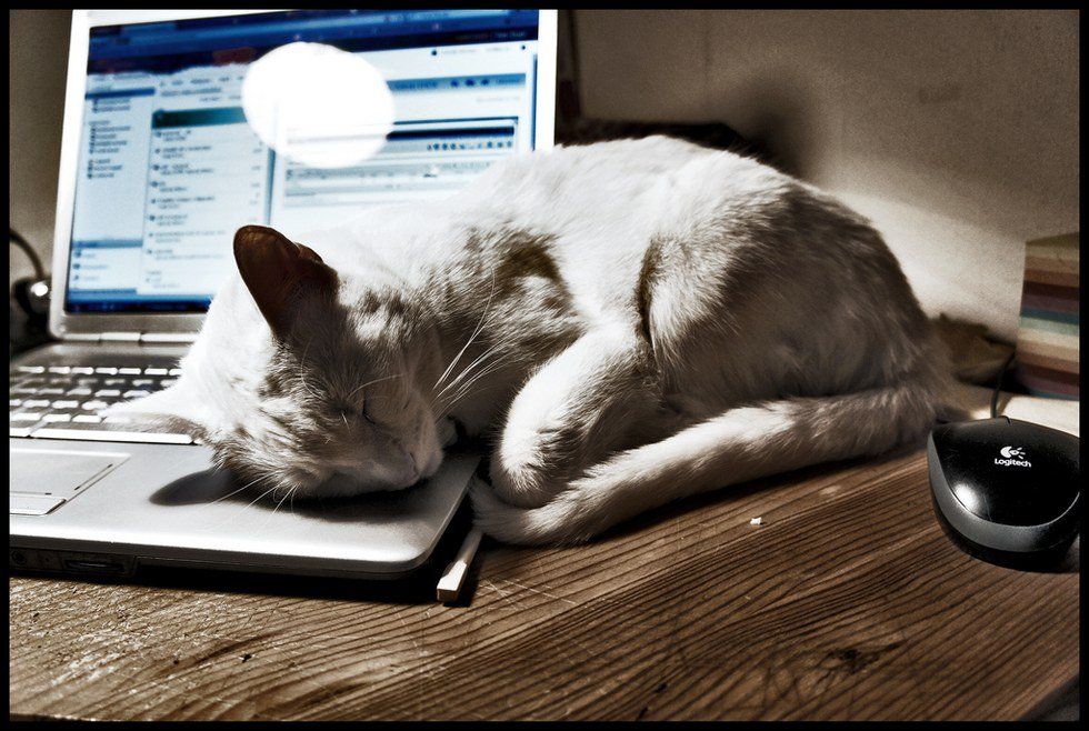 12 Things A Teenage Workaholic Can Relate To