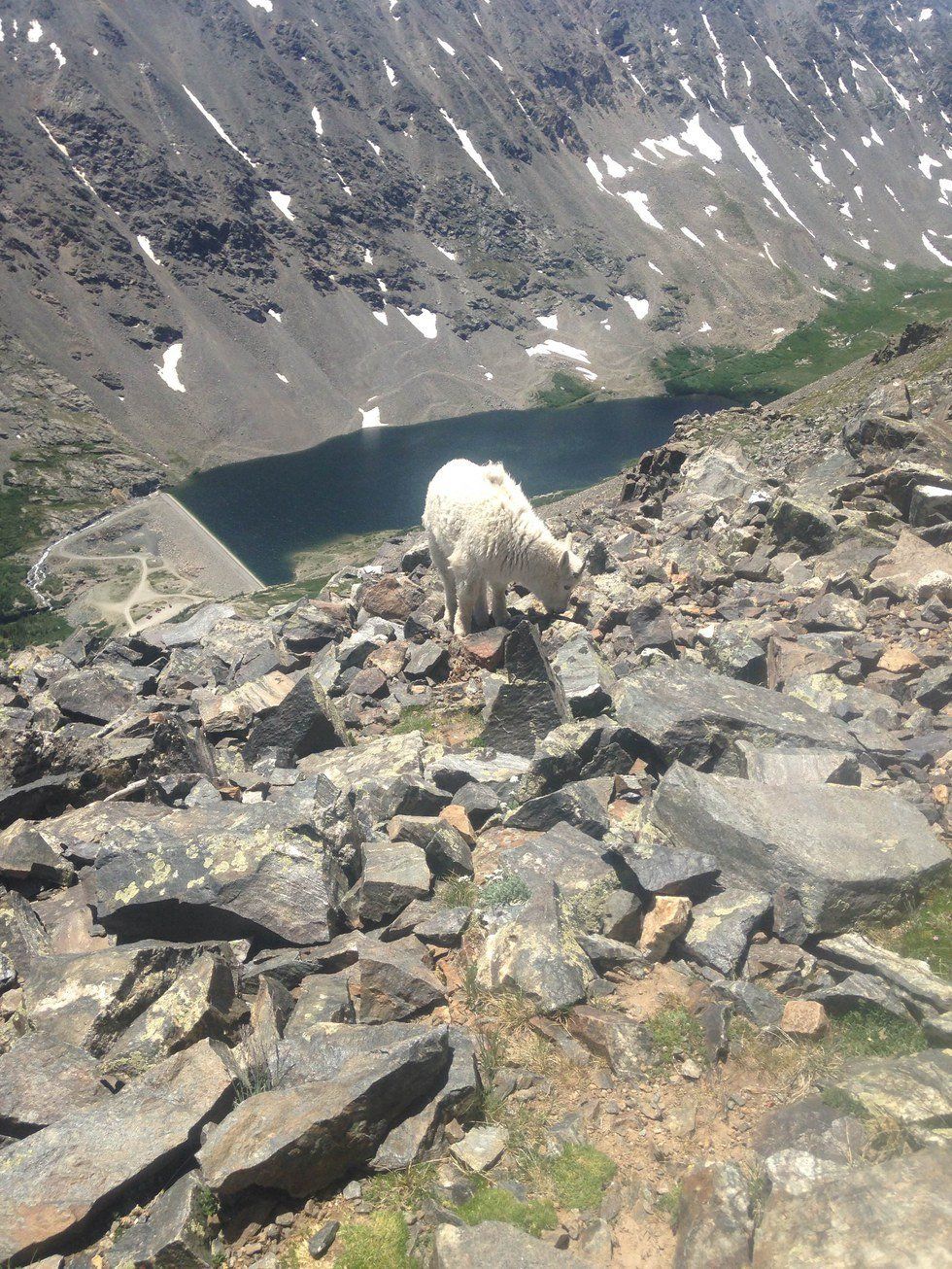 10 Reasons To Hike A 14er