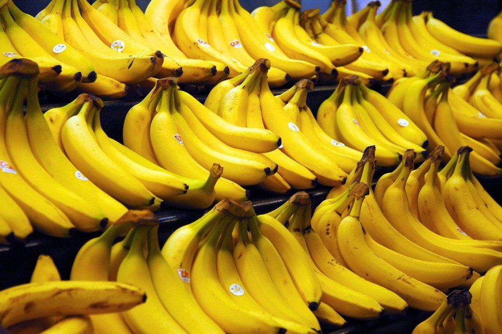 10 Reasons Why A Banana Is All You Ever Need