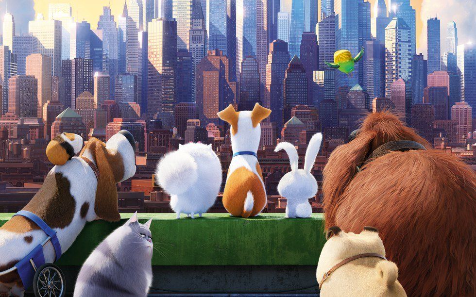 The Secret Life of Pets