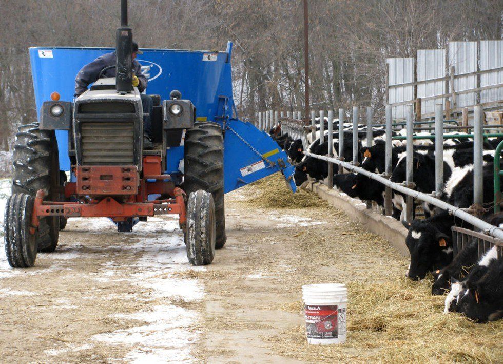 Why You Should Thank Your Local Farmer