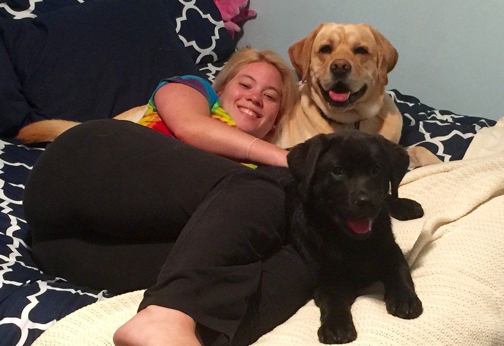 My Labradors Are My Best Friends