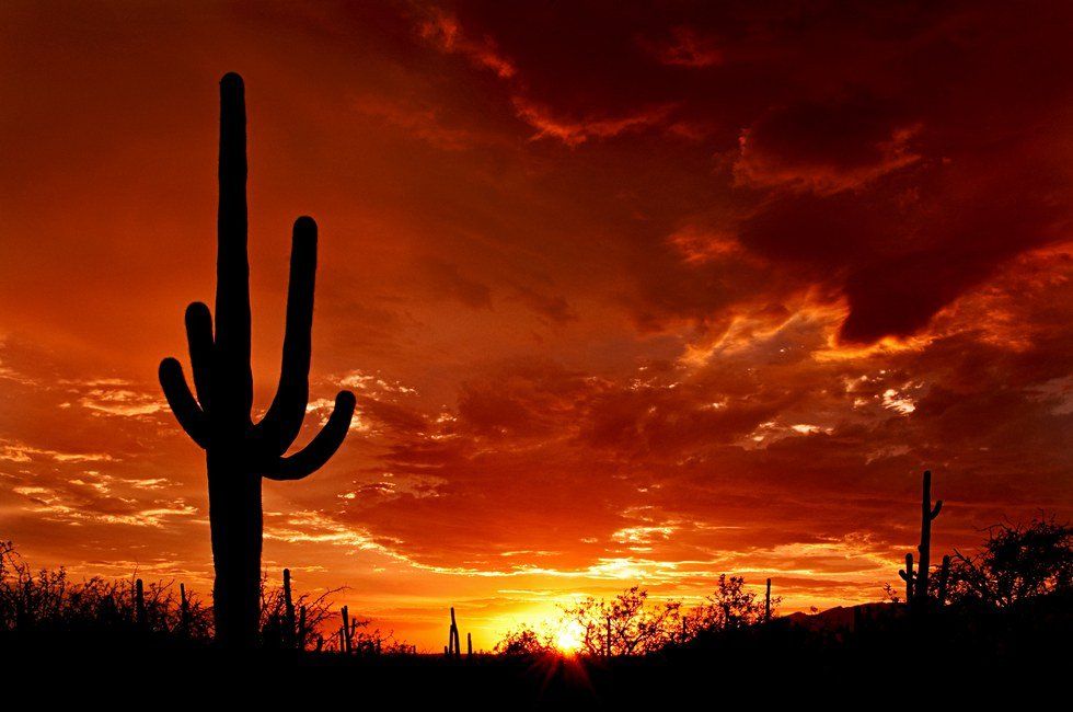 Top 5 Things You Probably Didn't Think Of To Do In Arizona