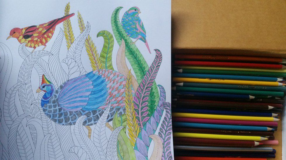 My Experience With Adult Coloring Books