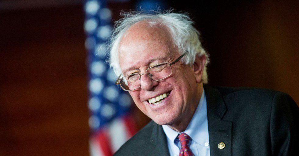 8 Things That Vaguely Resemble Bernie Sanders