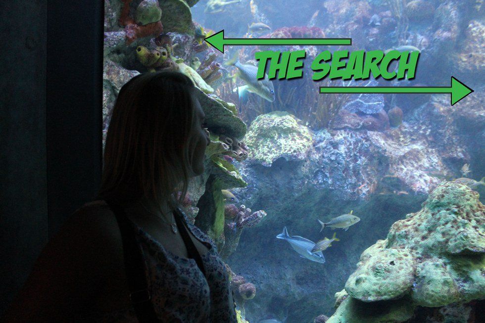 "The Search" Episode Two: "Security Vs. Passion"