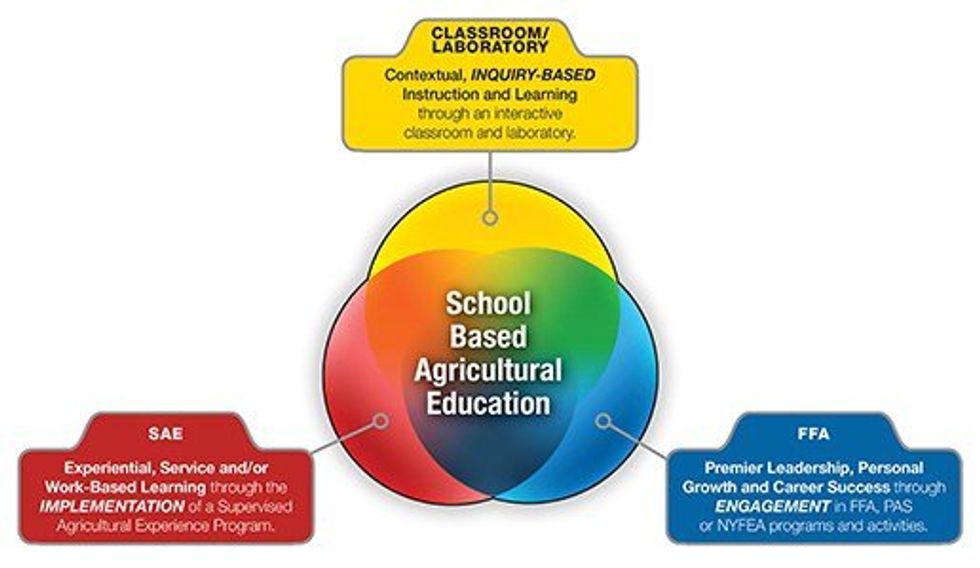 An Open Letter To My High School Ag Teacher