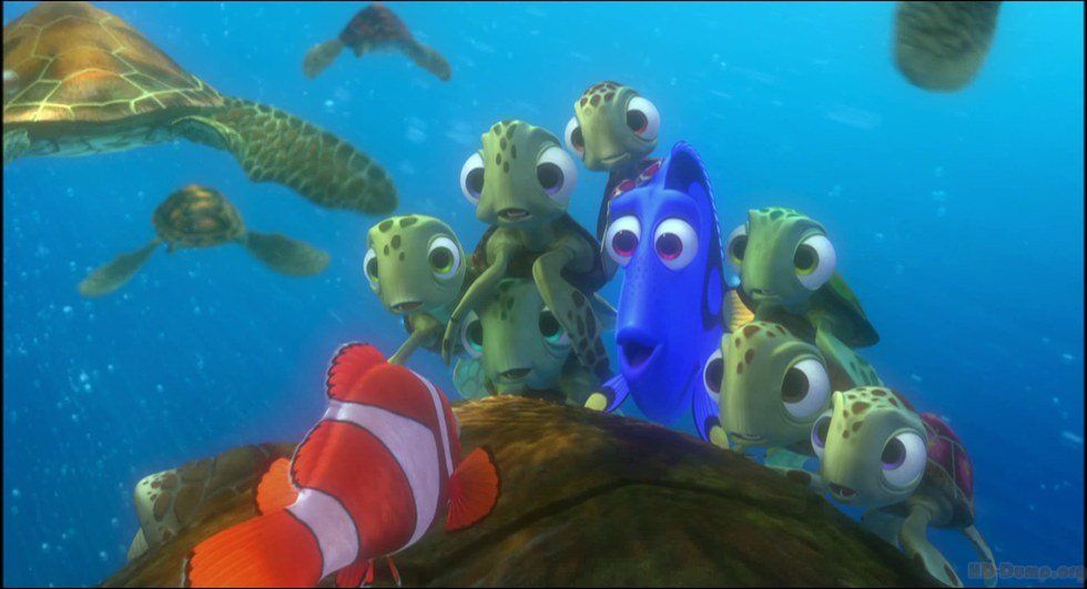 The 25 Best Finding Nemo Quotes In Honor Of Finding Dory