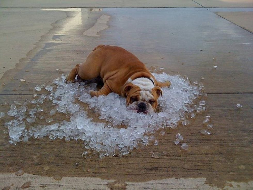 Ways To Survive The Heat Of Summer