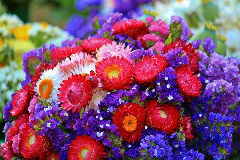 11 Of The Most Beautiful Flowers