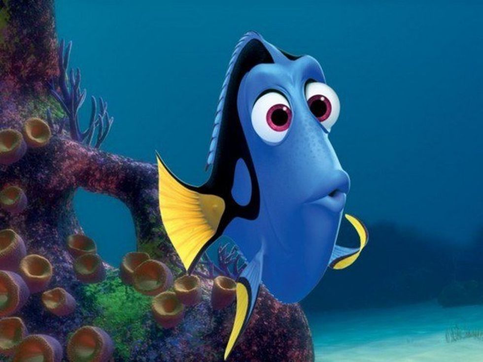 Dory's Short-Term Memory Loss