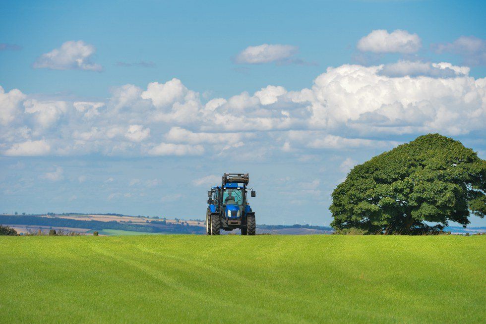 5 Reasons Why Cutting Grass With Your Brother Is The Worst