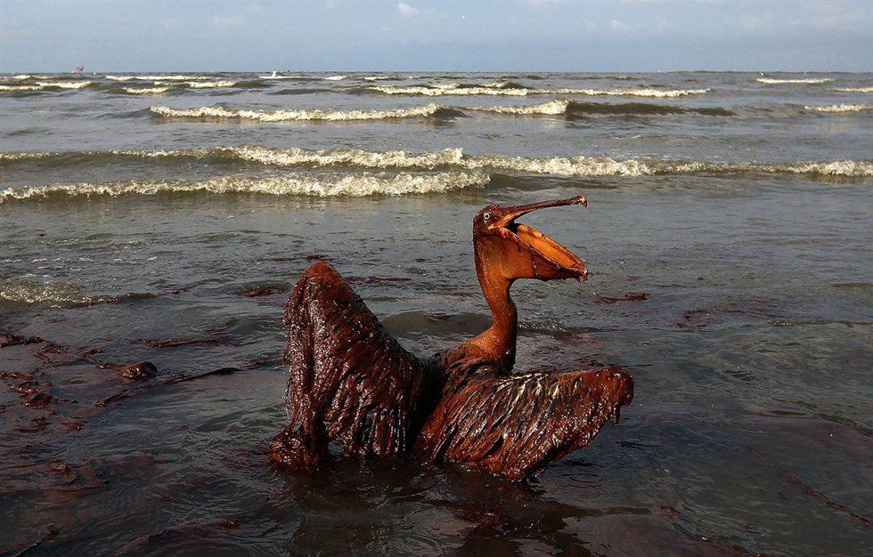 The Shell Oil Spill: What The Government Doesn't Want You To Know