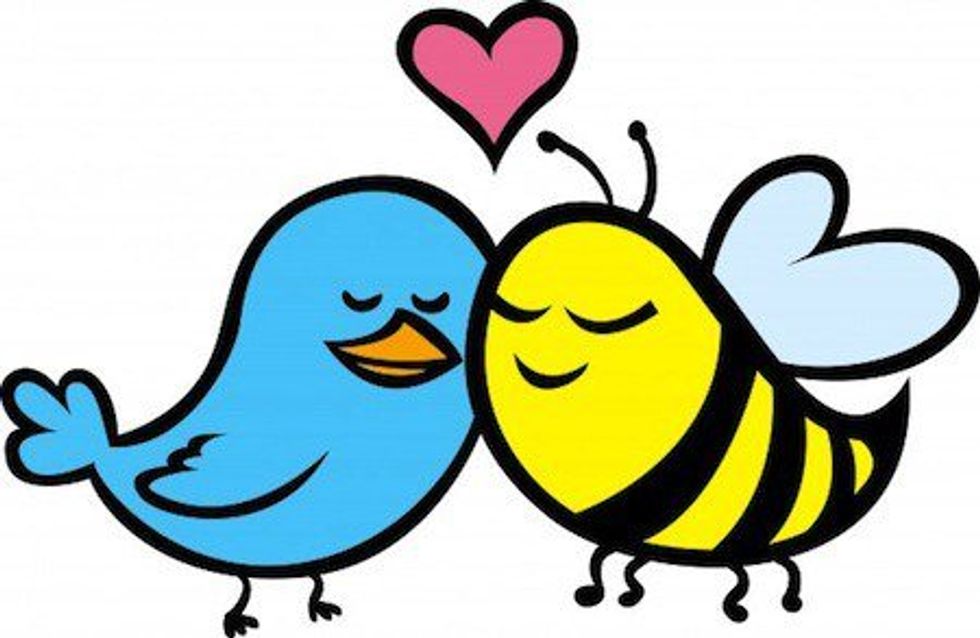 The Birds And The Bees