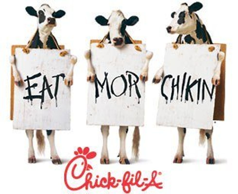 A Chick-fil-A Affair: When the Cows Come Home