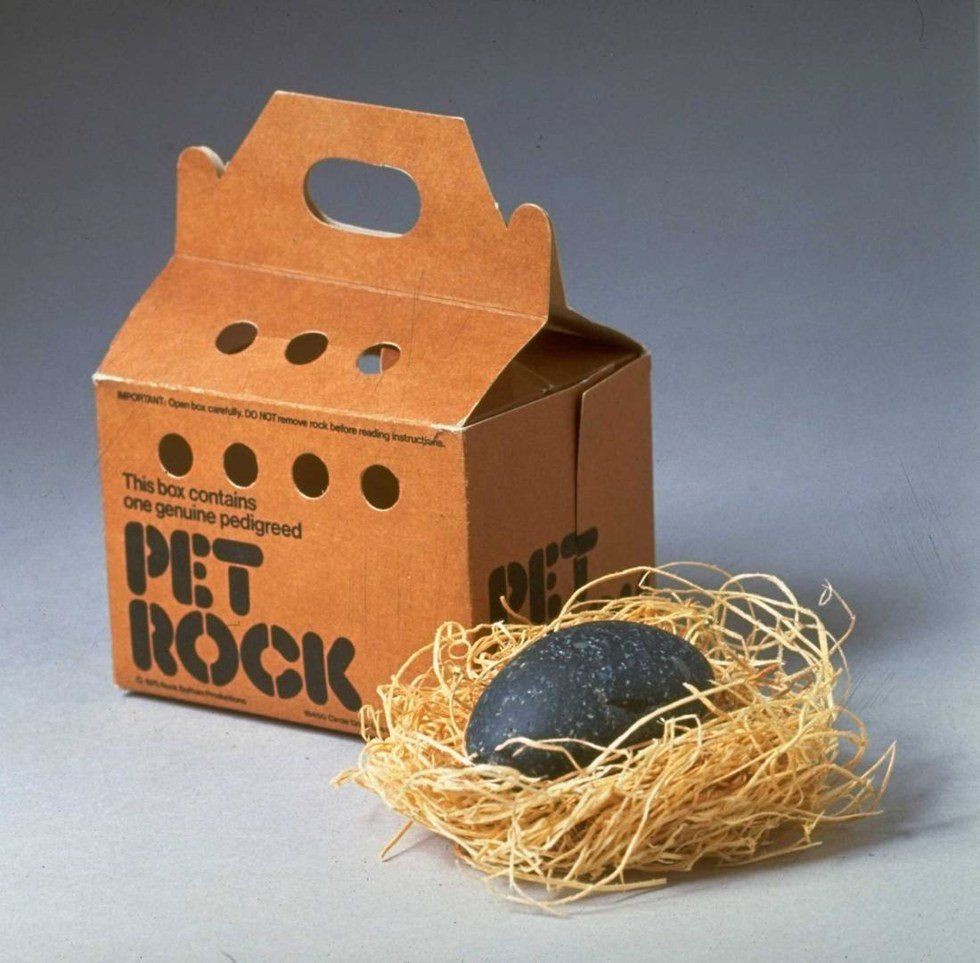 Benefits Of Owning A Pet Rock