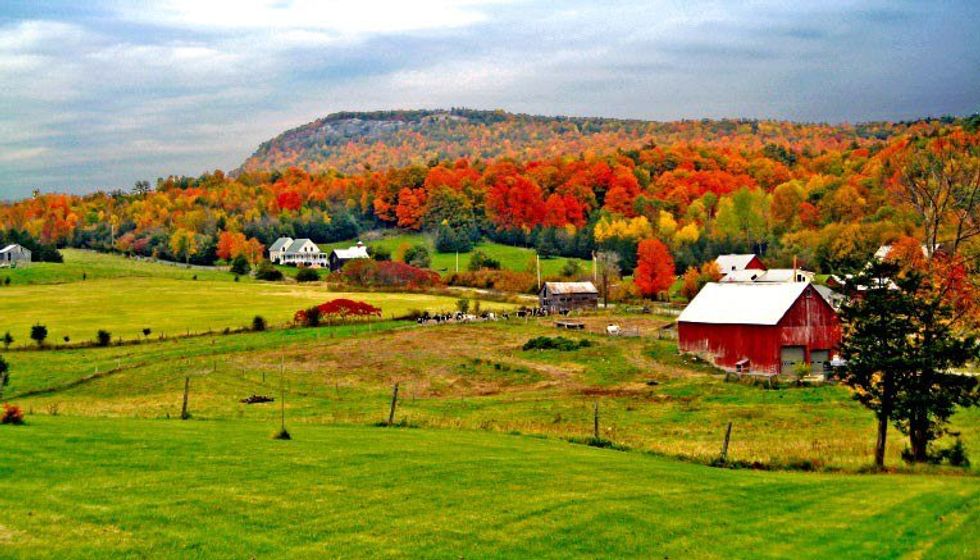 Growing Up In The Country