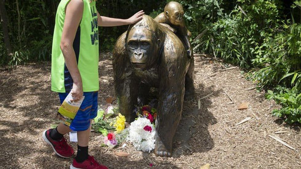 How A Gorilla Made Everyone Lose Their Minds