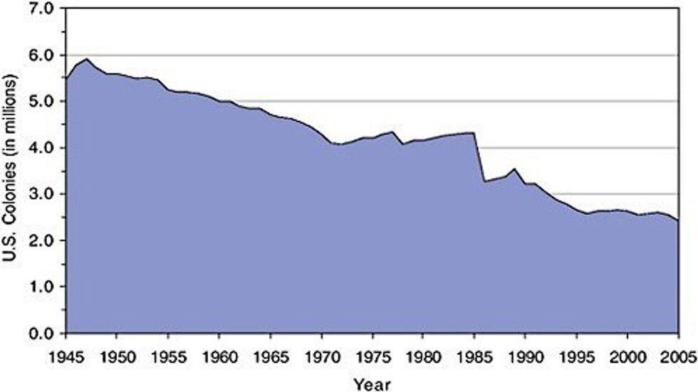 The Decline Of Our Fuzzy Friends