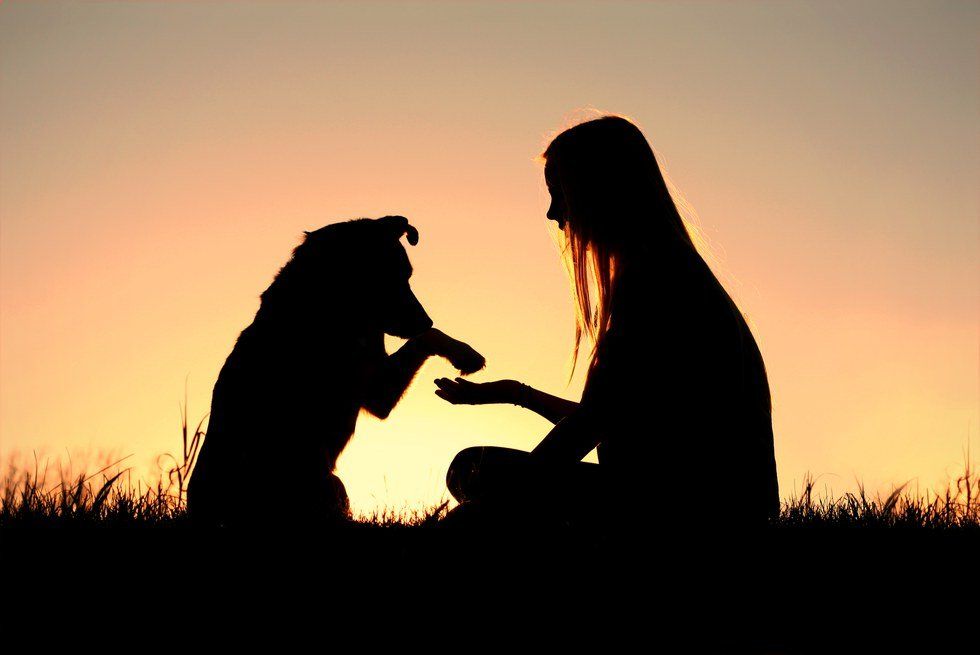 8 Reasons Why Your Dog Is The Best Friend You'll Ever Have