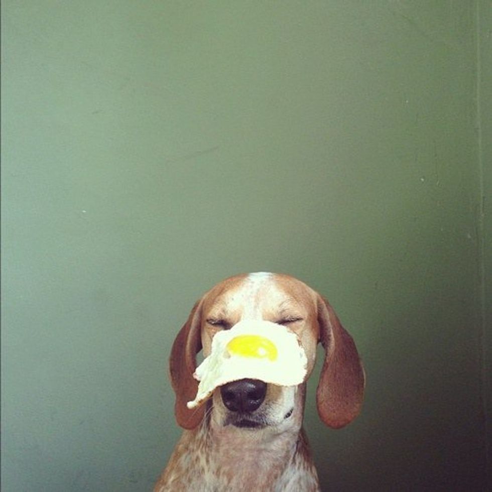 I've Got An Egg On My Face