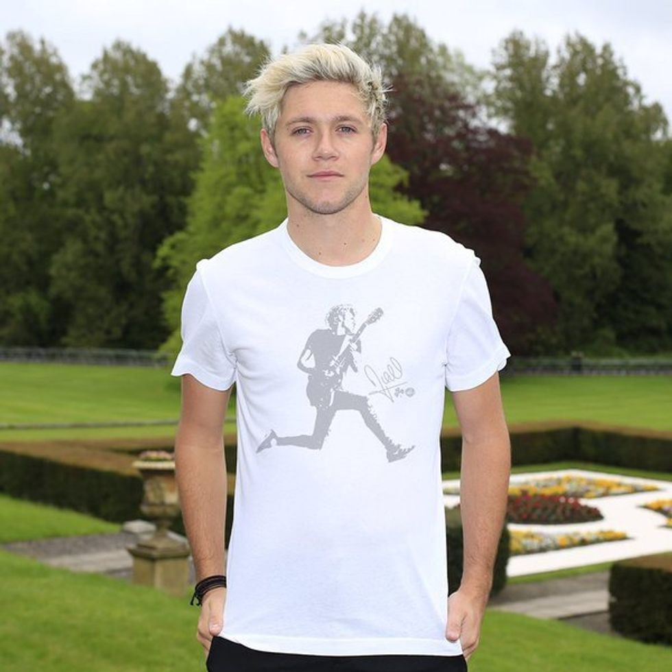 Niall Horan Raises Awareness Of Celebrity Cyberbullying