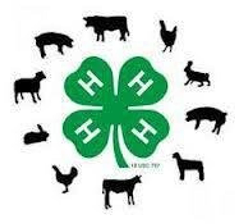 4-H: Making The Best Better