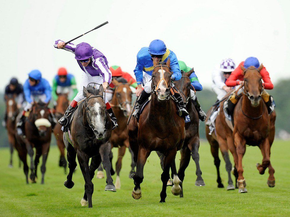 Preakness Results in 2 Horse Deaths, Leads Many to Question the Ethics of Horse Racing