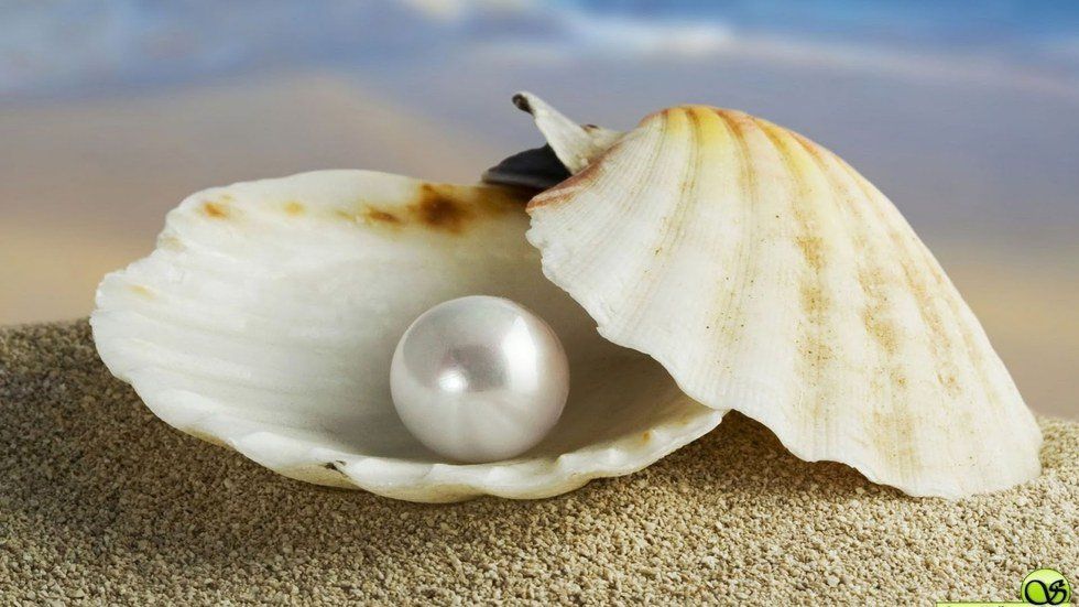 The World Is Not Your Oyster, And You Are Not A Pearl