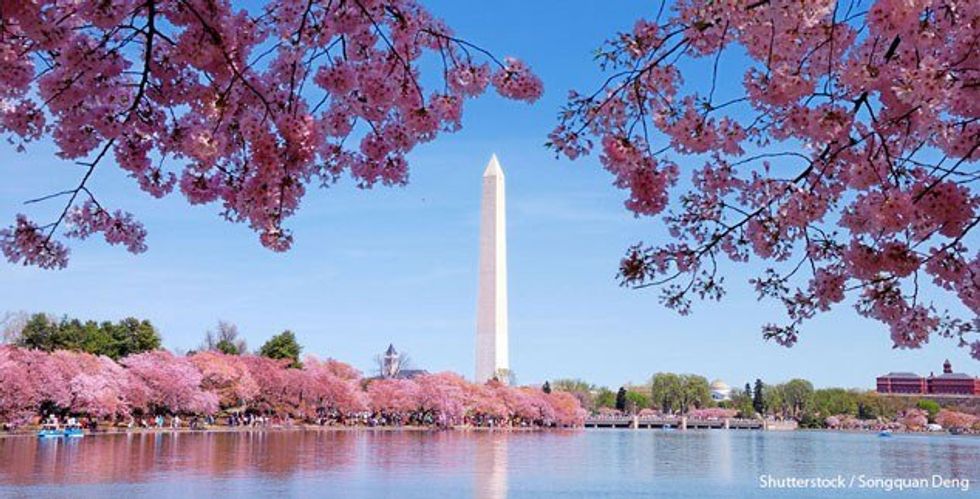 Why You Should Visit Washington DC